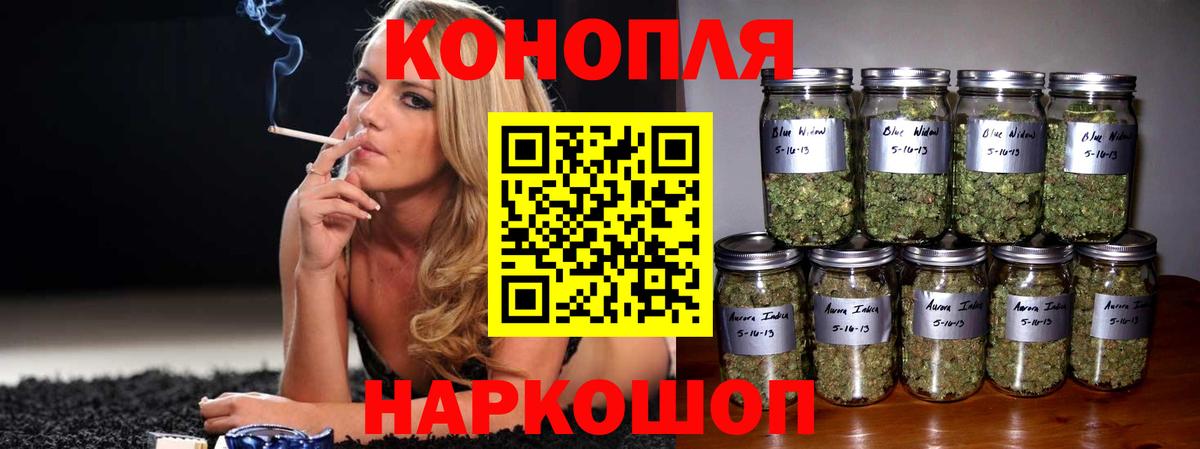 Бошки марихуана ГИДРОПОН Вичуга
